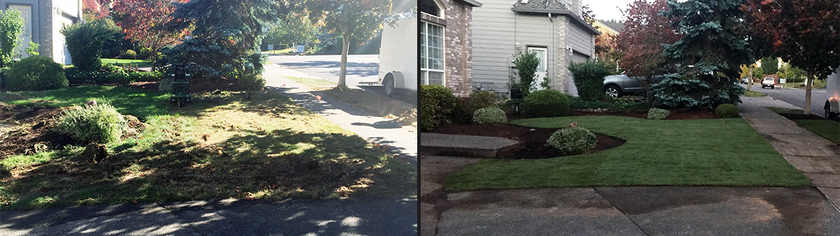 before-and-after-3