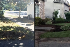 before-and-after-3