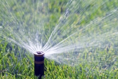 Water sprinkler
