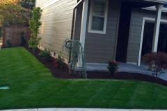 Photo 3 cropped