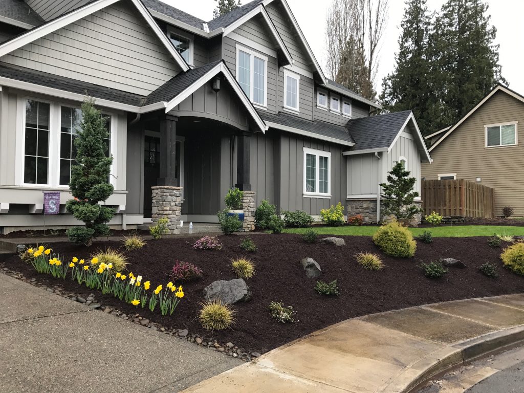 Yard Clean Up Services