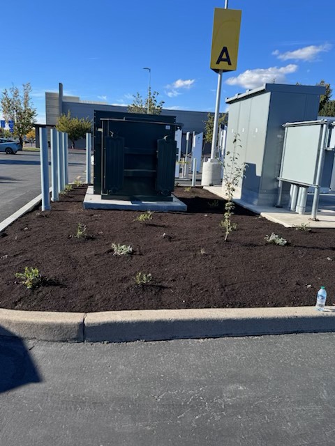 one time cleanup planting project in Portland