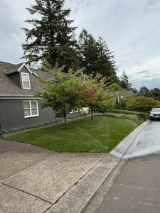 Sod installation project recently completed by Earthborn Landscape in the Portland Metro area